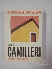 libri Camilleri e Savatteri