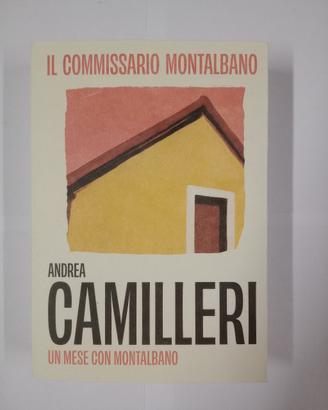 libri Camilleri e Savatteri