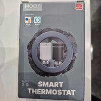 testa termostatica Smart