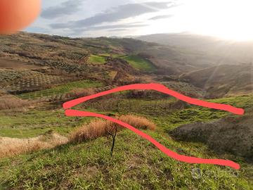 Terreno agricolo incolto Cupello