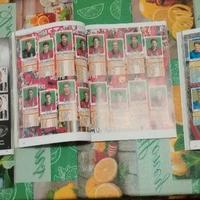 copie album calciatori panini