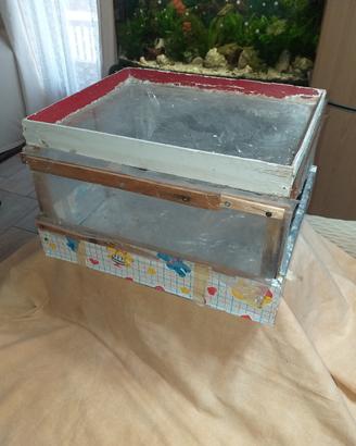 mini serra per germogli 