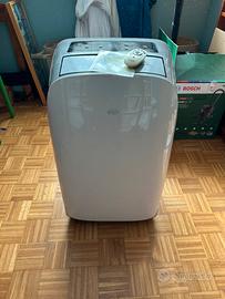 Pinguino condizionatore