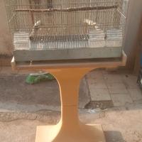 piede porta gabbie da 55 con ruote  Cambio