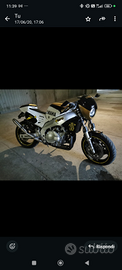Yamaha yzf 600 thundercat