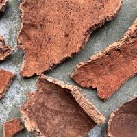 Corteccia Sughero a Pezzi. Varia dimensione