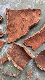 Corteccia Sughero a Pezzi. Varia dimensione