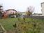 Immagine 14