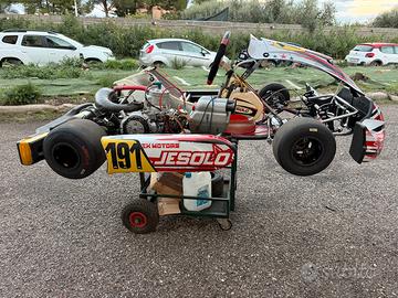 Go kart jesolo kz 125 2024 - Sports In vendita a Oristano