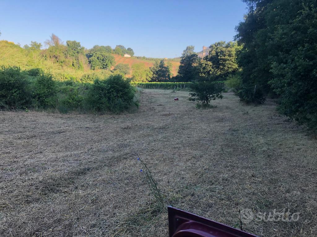 Terreno agricolo - Vista 5