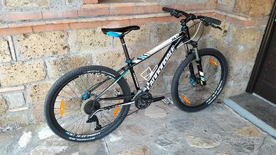 Cannondale
