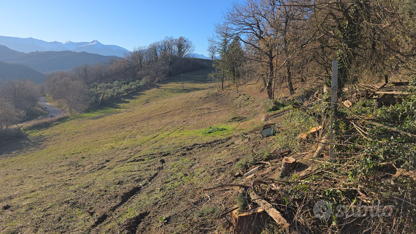 Azienda agricola - Vista 5