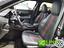 Immagine 14