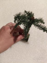 palma per presepe anni 50