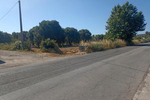 Terreno commerciale