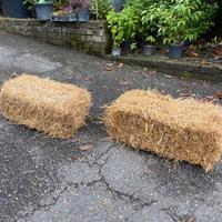 Ballette di paglia di grano e orzo