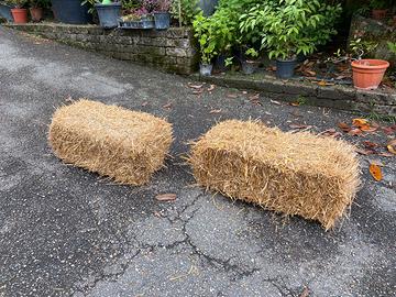 Ballette di paglia di grano e orzo