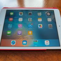 iPad mini 16gb