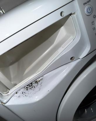 lavatrice indesit