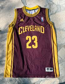 Canotta NBA Adidas Swingman - LeBron James