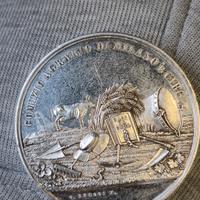 Rara Medaglia d'Argento XIX Sec. - Comizio Agrario