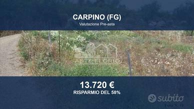 Immobile in asta di 10848 m² a Carpino