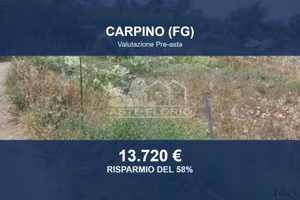 Immobile in asta di 10848 m² a Carpino