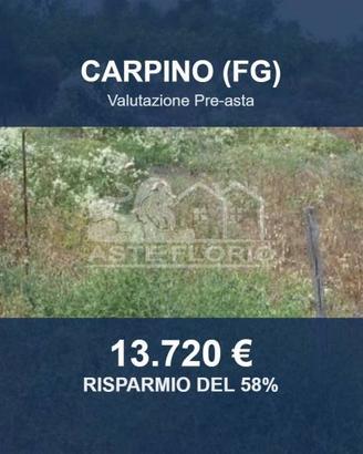 Immobile in asta di 10848 m² a Carpino