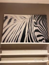Quadro zebra  ikea