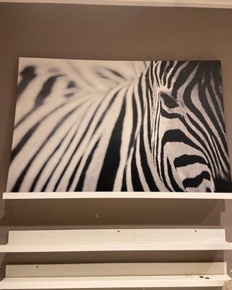 Quadro zebra  ikea