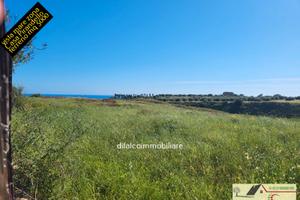 Magazzino mq 55 Viale dei miti casa Pirandello