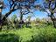Immagine 20