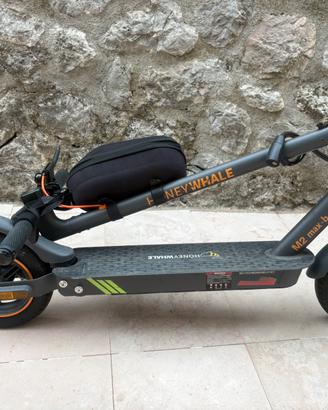 Monopattino elettrico