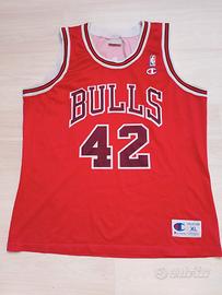 Chicago Bulls Elton Brand season 2000