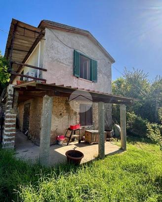 CASA INDIPENDENTE A COLLEVECCHIO