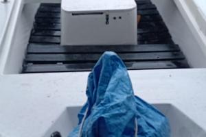 Barca - 5 metri completa di accessori e documenti