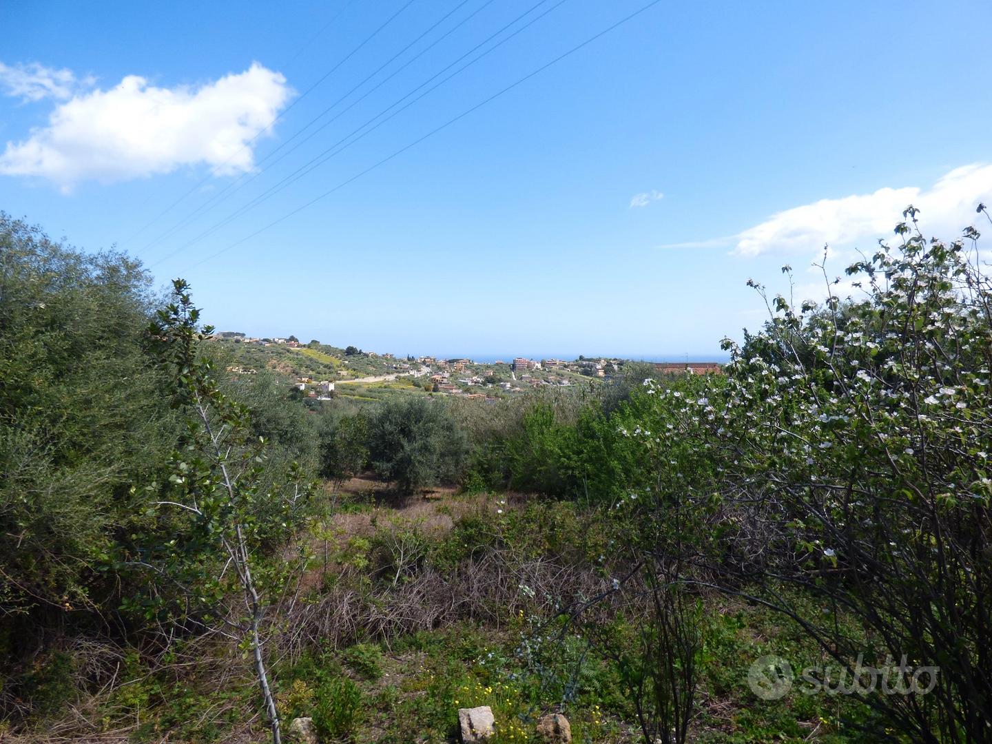 Terreno agricolo panoramico Ter/32 - Vista 2