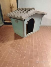 Cuccia cane