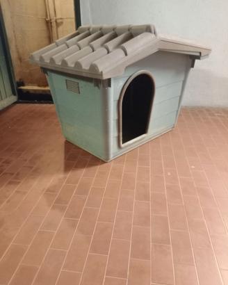 Cuccia cane
