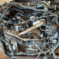 MOTORE COMPLETO FORD Focus Berlina 4Â° Serie XWDE0