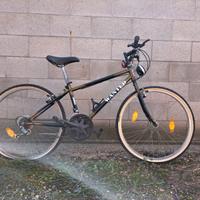 Bicicletta Mountainbike