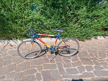 bicicletta uomo e bimbo