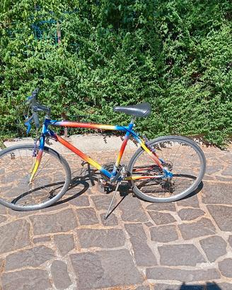 bicicletta uomo e bimbo