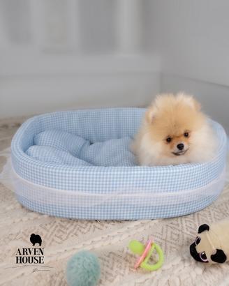 Spitz nano tedesco / volpino di pomerania mini toy