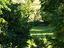 Immagine 19