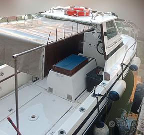 AQUAMASTER 7 FISHERMAN + Aifo 200hp