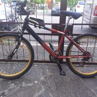Bici da Mtb Raleigh ruote da 24