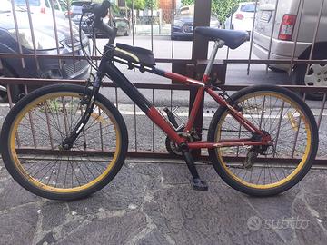 Bici da Mtb Raleigh ruote da 24