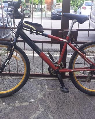 Bici da Mtb Raleigh ruote da 24