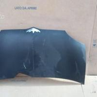 Cofani anteriori usati chatenet barooder
